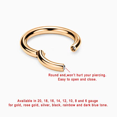 Image of FANSING Men Women 316L Surgical Steel Hinged Nose Rings Hoop for Nostril Septum Cartilage Helix Daith Tragus Rook Conch Lip Ear Lobe Piercings