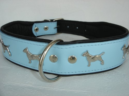 Bullterrier HUNDEHALSBAND - Halsband, Halsumfang 44-52cm/50mm, Leder Blau