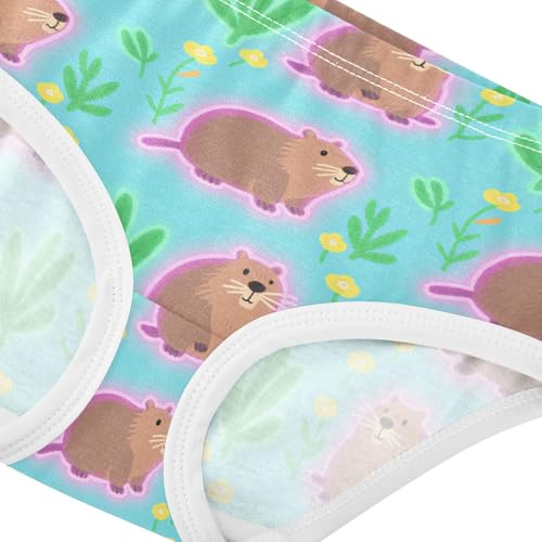 Triangle Panties Underwear Moisture Wicking Comfort Underwear for Kids in Sizes 2T,3T, 4T, 5T, 6Y and 8Y4