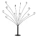 Money Tree