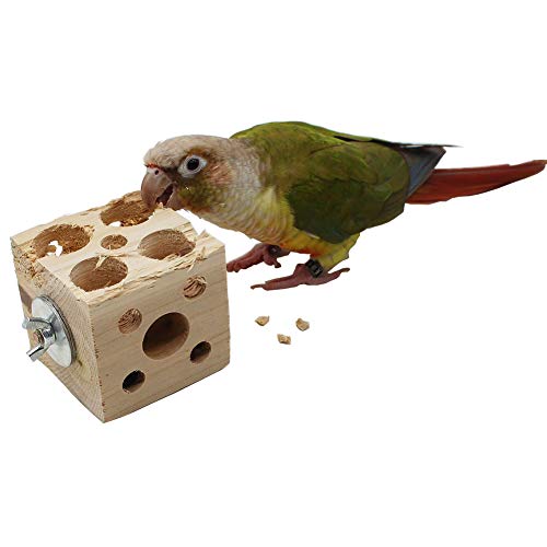 Qbleev Bird Wooden Block Chewing Toy，Parrot Tabletop Puzzle Foraging Training Toys，Small Animals Shredding Biting Wood Teething Toy For Hamster Guinea Pig Parakeets Cockatiels Conures African Grey #TOP1