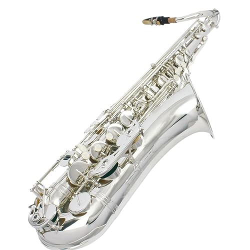 サックス 金属製 シルバー ケース付き テナーサックス シルバー プロフェッショナル」の人気商品一覧 | 安い