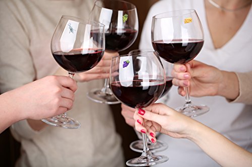 Simply Charmed Wine Glass Charms, Set of 6 Fun Magnetic Wine Theme Drink Markers and Tags
