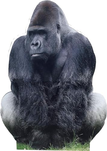 aahs!! Engraving Animal Life Size Cardboard Cutout Stand Up | Standee Picture Poster Photo Print (Gorilla)