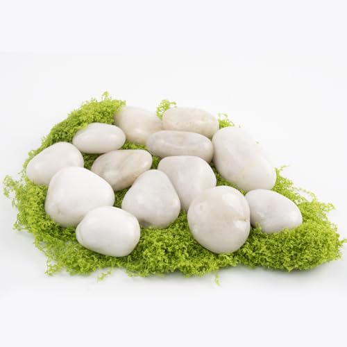 Image of 20lbs River Rocks - 1-2Inch Decorative Rocks for Potted Plants, River Rocks for Aquariums, and White Rocks for Landscaping (Weight : 20 LB, White)