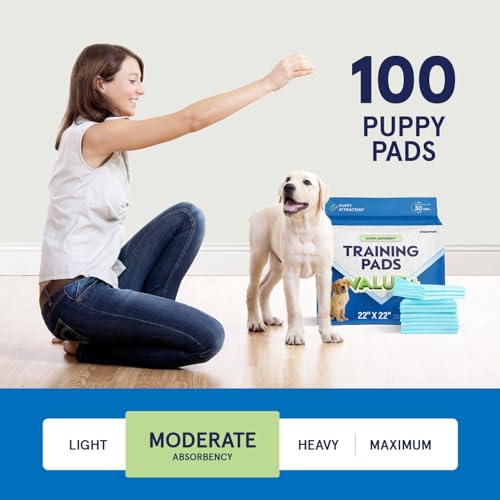 Puppy Pads Pet Pee Pads for Dogs & Puppy Training [100-COUNT] Potty Pads for Dogs 22" x 22" Leak-Proof Dog Pee Pads - Quick-Dry Surface - Heavy Duty Absorbent Disposable Dog Wee Pad Bulk Pack - Thumbnail 4
