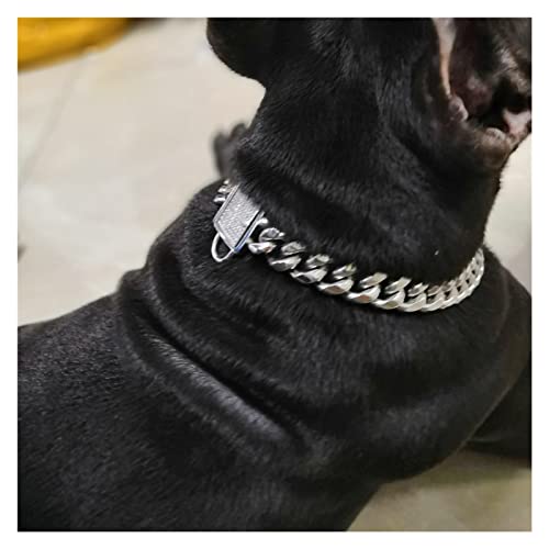 Collier en Or de 14 mm pour Chiot en Acier et Zircone de Luxe - 3