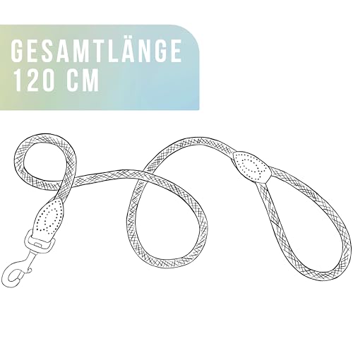ne&no rope lead 1.2 m (slightly stretchy) for medium to large dogs I training lead I robust dog lead I round braided I dog slip leads I city lead I dog leash aqua 120 cm - Image 3