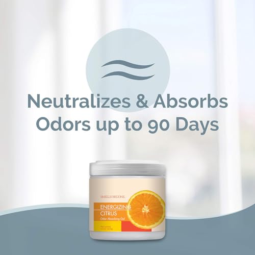 Image of SMELLS BEGONE 15oz Gel Odor Eliminator - Absorb & Remove Tough Odors in Pet Areas, Bathrooms, Basements, Garage, Cars, RVs & Boats - Eliminate Odors Quickly (15 Ounce (Pack of 2), Energizing Citrus)