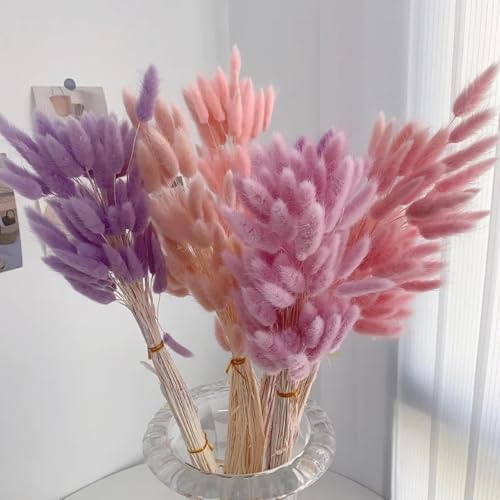 Pampas Grass Decor Tall 60Pzs Flores Secas miniatura 3
