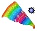 Rob's Super Happy Fun Store 51 Fireworks Diffraction Glasses (50 Rainbow Spectrum Frames + 1 Neon Orbital Frames)