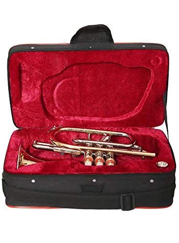 McLian Cornet Pro Bb Pitch Brass Finish Experts Approved With Fast Shipping