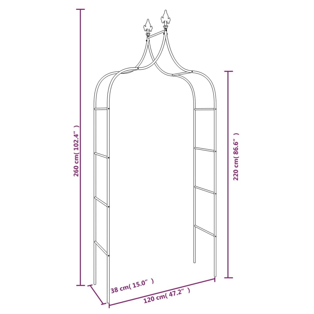 Archi da giardino, 2 pezzi, in acciaio verniciato a polvere, nero, 120 x 38 x 260 cm, punte decorative per decorazione romantica da giardino, arco per rose in metallo stabile per piante rampicanti