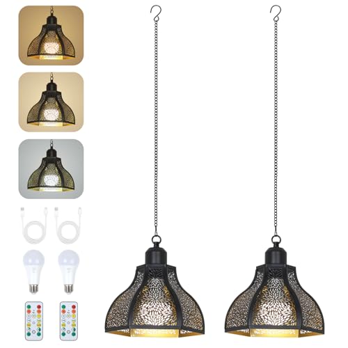 Rayofly 2 Pièces Lampe Suspendue à Batterie Intérieure, Lampe Pendante Outdoor à Batterie, Lampe Suspendue Noire Sans Branchement Electrique, Lampes de Jardin...
