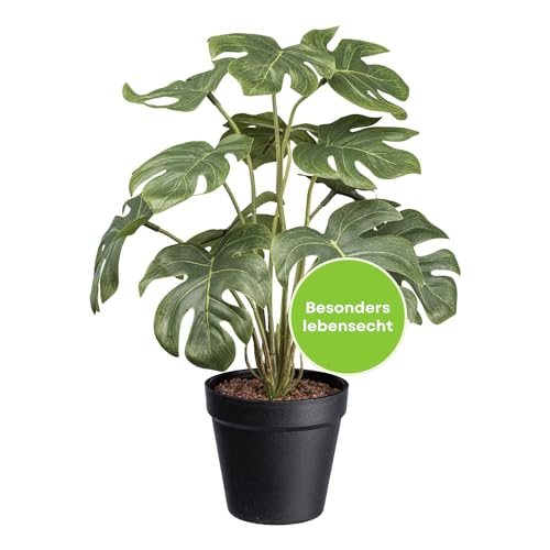 CREATIV green künstliche Monstera 38cm mit naturgetreuen...