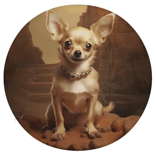 Coussin de chaise rond en mousse de qualité supérieure Chihuahua