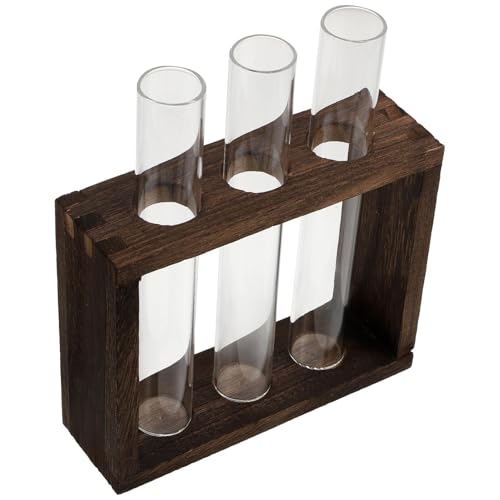 Abaodam Vase Hydroponique Verre Tubes avec Support Bois Rétro Décoration de Bureau Compacte pour Plantes Aquatiques et Fleurs Intérieur