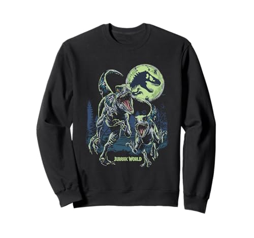 Sweat Jurassic World Dominion idée cadeau originale pour anniversaire