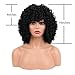rosmile Curly Wigs for Black Women - Natural Black Synthetic African American Full Kinky Curly Afro Hair Wig with Bangs