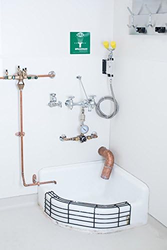 Speakman SC-5811-RCP, Rough Chrome Plated, 6.00 x 11.00 x 11.00 inches