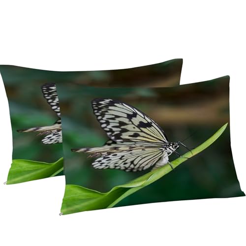 Housse de couette 220x240 microfibre douce avec fermeture éclair ensemble de literie - 5