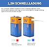 SZEMPTY Batterie ricaricabili al litio da 9 V, 6F22 USB agli ioni di litio da 9 V, 650 mAh, con cavo di ricarica di tipo C, ricarica rapida in 1,5 ore, confezione da 2