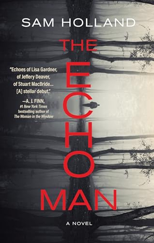 The Echo Man view 2