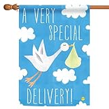 Toland Home Garden 1010934 Special Delivery-Boy Baby Boy Flag 28x40 Inch Double Sided Baby Boy Garden Flag for Outdoor House Gender Flag Yard Decoration