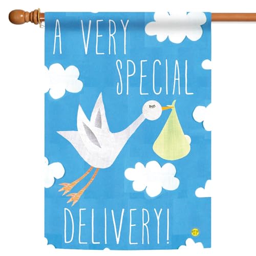 Toland Home Garden 1010934 Special Delivery-Boy Baby Boy Flag 28x40 Inch Double Sided Baby Boy Garden Flag for Outdoor House Gender Flag Yard Decoration