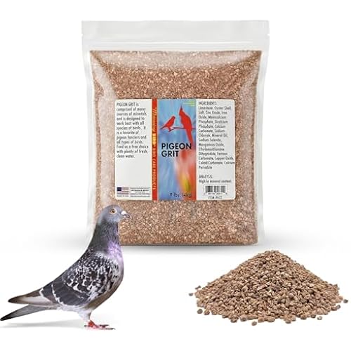 Morning Bird Pigeon Grit - Healthy & Nutritious Pigeon Food to Support Strong Muscles & Bones for Grit Eating Birds - Supports Digestion & Packed with Essential Minerals 9 lbs