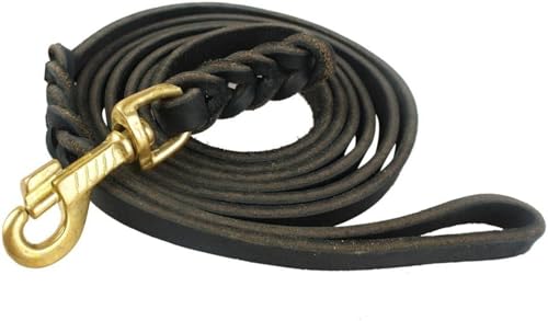 p[h O[h n[lX 3Mˍޗ iC ʋC ߉\ {v uE v V[g^Cv Vo[tbN (ubN,1.2M)