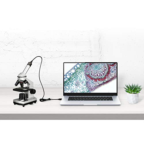 Miniatura 2 de Bresser Junior 40x-1024x Microscopio Set, Negro, Plata