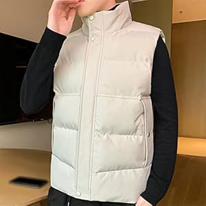 CHUNYU Herenvest met opstaande kraag for herfst en winter Wintervest for heren Buitenste gilet (Color : D, Size : 3XL code)