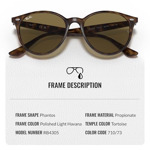 Ray-Ban RB4305 Phantos Shaped Sunglasses for Men & Women with Official RAYBAN Eyewear Kit3