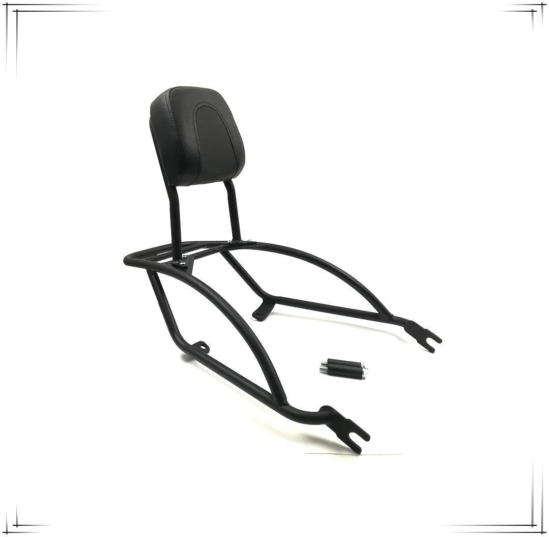 Portapacchi Posteriore Ripiano Posteriore Per Motocicletta, Schienale Rinforzato, Portapacchi Passeggero Per Davidson Per Street Rod 750 2017-2020 Motociclo Portapacchi Posteriore