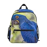 Design: Zwei seitliche offene Taschen können Wasserflaschen halten, verstellbare gepolsterte Schultergurte für Tragekomfort, Schnalle abnehmbar