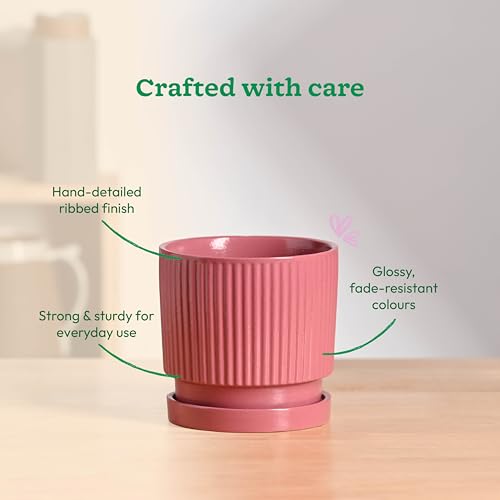 Image of UGAOO Roma Ceramic Flower Pot for Table & Desk, 5 Inch - Magenta