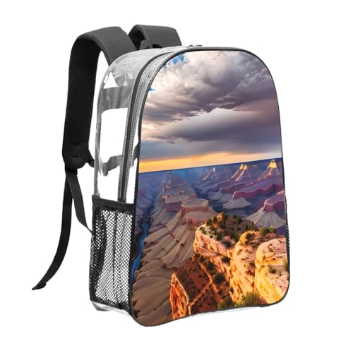 Beauty Grand Canyon 1 print 16 Inches Clear Backpacks for Office Large Backpack Clear Bookbag for College3