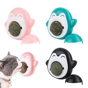 Lot de 3 balles d&rsquo;herbe à chat – Jouet à mâcher – Avec couvercle de rangement – Pivotant à 360° – Jouet à mâcher