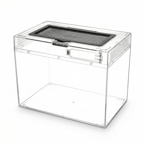 QWORK® Boîte d'alimentation pour Reptiles,Reptile pc Terrarium, 30 * 18 * 22cm pour Une variété de Reptiles et d'insectes
