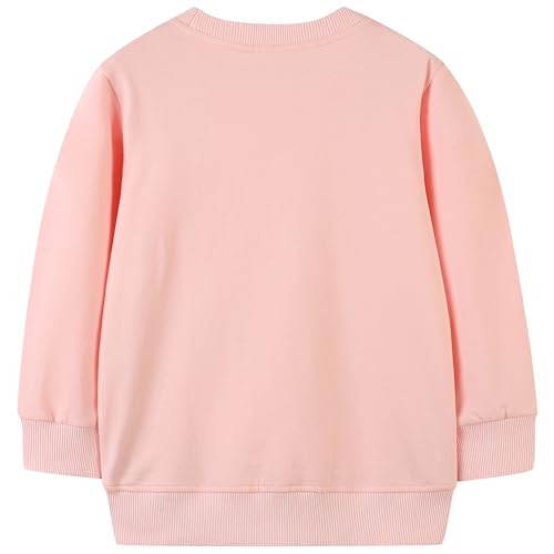 Image of AIWUHE Toddler Cotton Sweatshirt Boys Girls Pullover Long Sleeve Tops 2-6Y | Tops Blouse, Cotton T-Shirt, Fall Winter Clothes