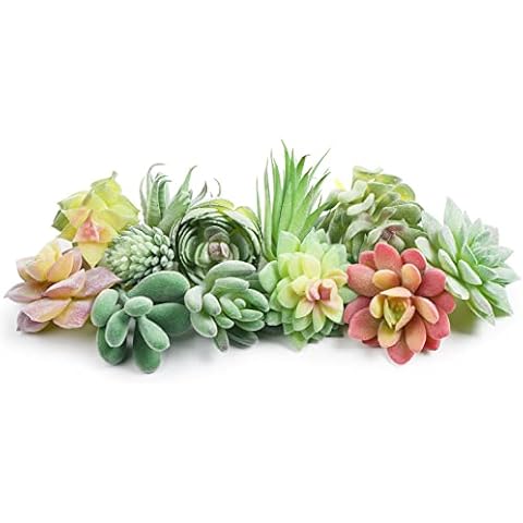 HappyHapi 12 Pcs Artificial Succulents Mini Fake Plants Cover