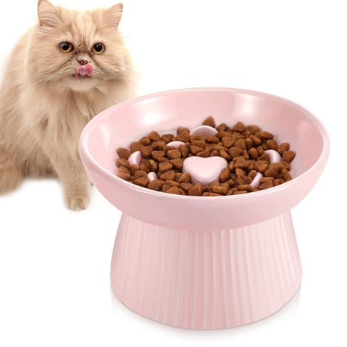 Cat Slow Feeders The 15 best products compared Wild Explained