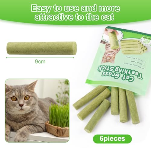 OSDUE 6 Stück Katzengras Snack, Cat Grass Teething Stick, Katzengras Sticks Gefriergetrocknet Snacks für Katzen, Katzenminze, Beißstab aus katzengras, für die Zahnpflege und Haarknäuel Entfernen