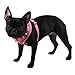 Authentic Puppia Vivien Harness, Pink, Medium