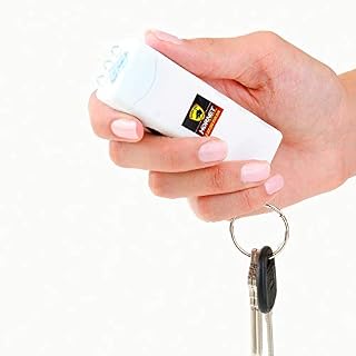 Guard Dog Security Hornet World's Smallest Stun Gun Keychain with Mini LED Flashlight