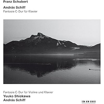 Schubert: Fantasies