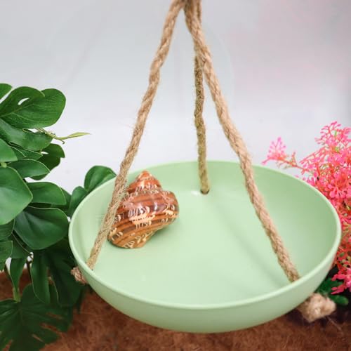 Neeenn Frog Swing Toys, Gecko Swing Toys, Plastic Reptile Amphibian Climbing Toys, Tank Aquarium Terrarium Decoration Accessories, Suitable for Frog Gecko Lizard Chameleon Hermit Crab Hamsters Rats