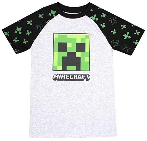 Minecraft - Clothes - Boys T Shirt - Gamer Kids Clothes - Creeper T Shirt Gifts - Grey (9-10 Years)