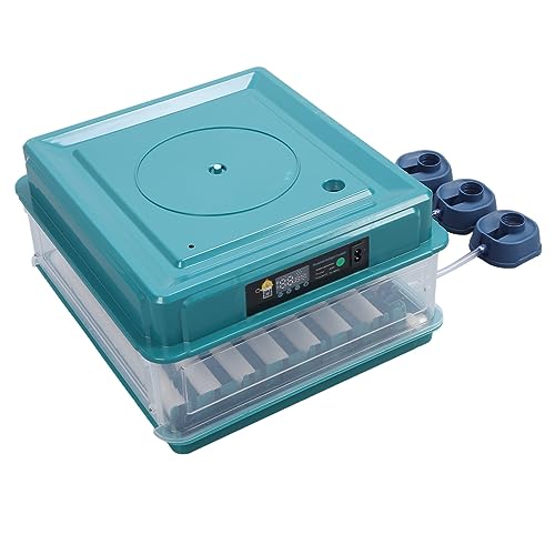Controlador de Incubadora de Ovos, Controlador de Temperatura da Incubadora Chassis Removível de Fác
